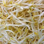Chinese food pantry-BEAN SPROUTS