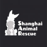 Shanghai Animal Rescue