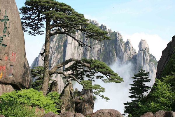 Private One Day Huangshan (Yellow Mountain) Highlights Tour