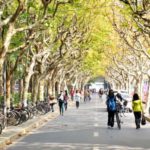 Student life in Shanghai